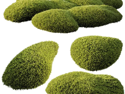 Lush Green Moss Clumps With Natural Shapes And Textured Surfaces For Garden 3d model