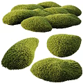 Lush Green Moss Clumps With Natural Shapes And Textured Surfaces For Garden