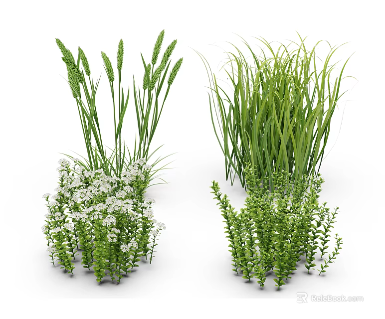 Various Types of Green Grasses White Flowering Plants and Shrubby Green Foliage 3d model 