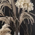 Elegant Vases with White Hydrangea Pampas Grass and Dried Branches on Dark Background