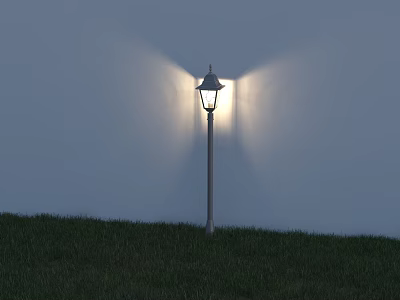 Outdoor Post Light Standing On Grassy Area Illuminating White Wall With Bright Beam 3d model