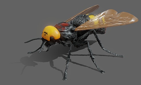 Modern Bugs Flying Insects 3d model