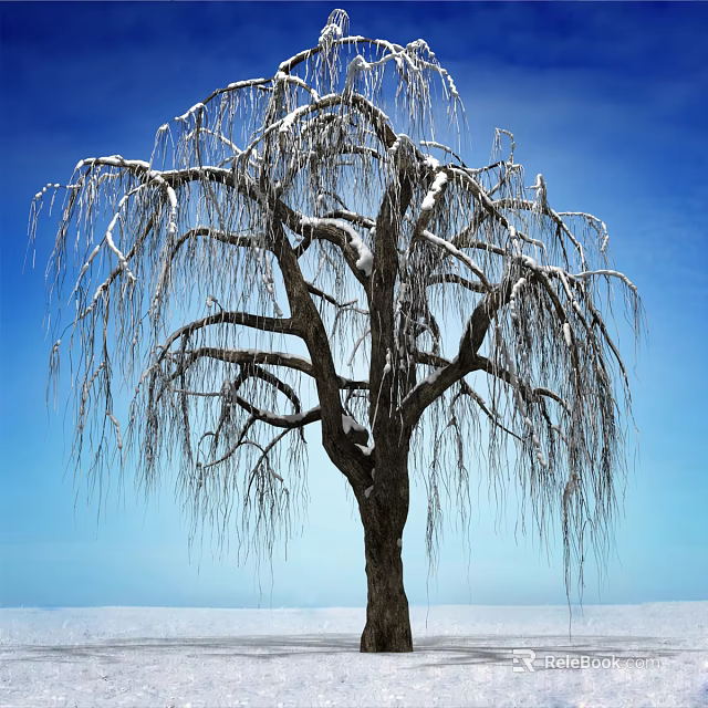 Snow Covered Weeping Tree With Long Branches Against Clear Blue Sky 3d model 