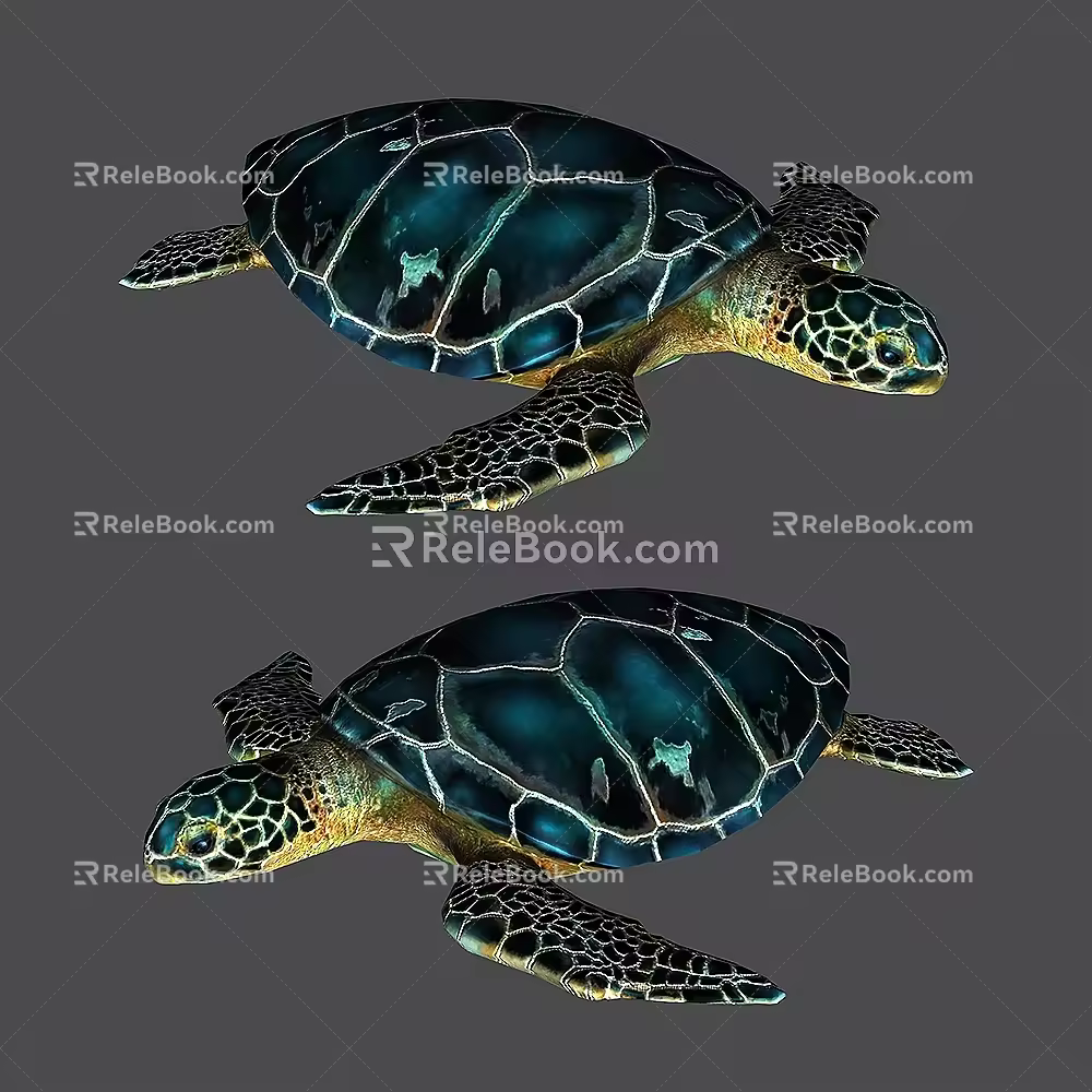 Modern Turtle 3d model