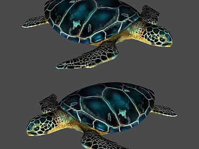 Modern Turtle model