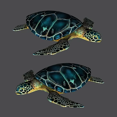 Aquatic Animals Two Blue Green Sea Turtles With Detailed Shell Patterns Swimming Gracefully 3d model