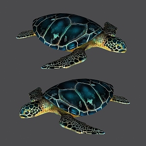 Modern Turtle 3d model