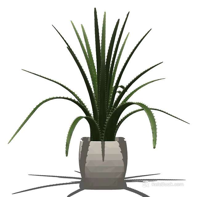 Bonsai Potted Plant With Green Long Leaves In Gray Decorative Pot 3d model 