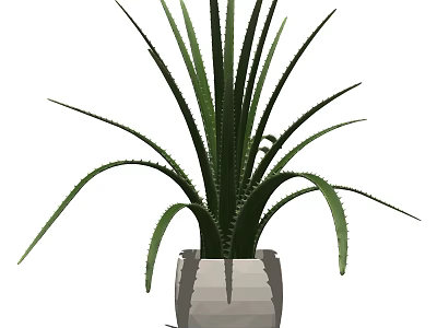 Bonsai Potted Plant With Green Long Leaves In Gray Decorative Pot 3d model