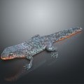 Lizard Anime Lizard Chameleon Cartoon Lizard Reptile Cold Blooded Animal Reptile Reptile Class 3d model