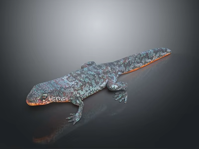 Colorful Reptile Lizard With Scaly Blue Gray Skin Orange Underbelly On Smooth Dark Surface 3d model