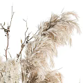 Modern Decorative Ornament Set With Dried Pampas Grass Candles And Figurine On Tray