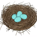 Natural Bird Nest With Four Turquoise Eggs On White Background 3d model