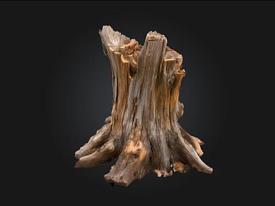 Natural Stone Wood Stump Art Piece With Detailed Root Structure And Textured Surface 3d model