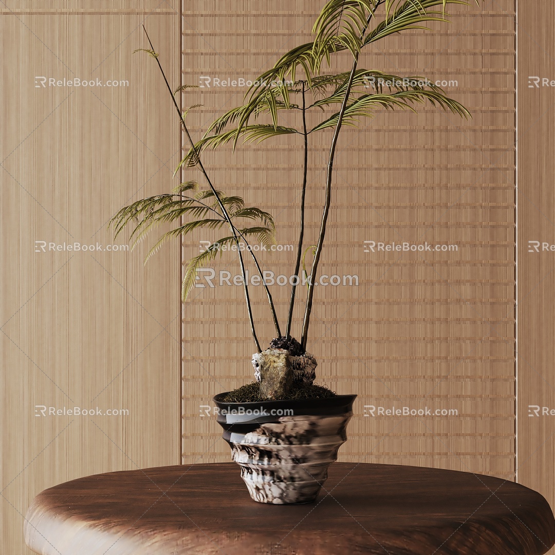 Modern Potted Plant 3d model