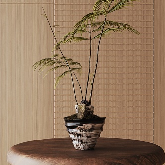 Modern Potted Plant 3d model