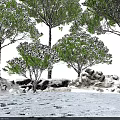 Snow Covered Tall Trees In Winter Snowy Landscape With Rocks And Overcast Sky