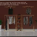 Elegant Golden Clothes Racks With Hanging Garments Shoes And Bags On Pink Wall