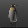 Penguin With Yellow Neck And Black White Body Standing On Dark Smooth Surface