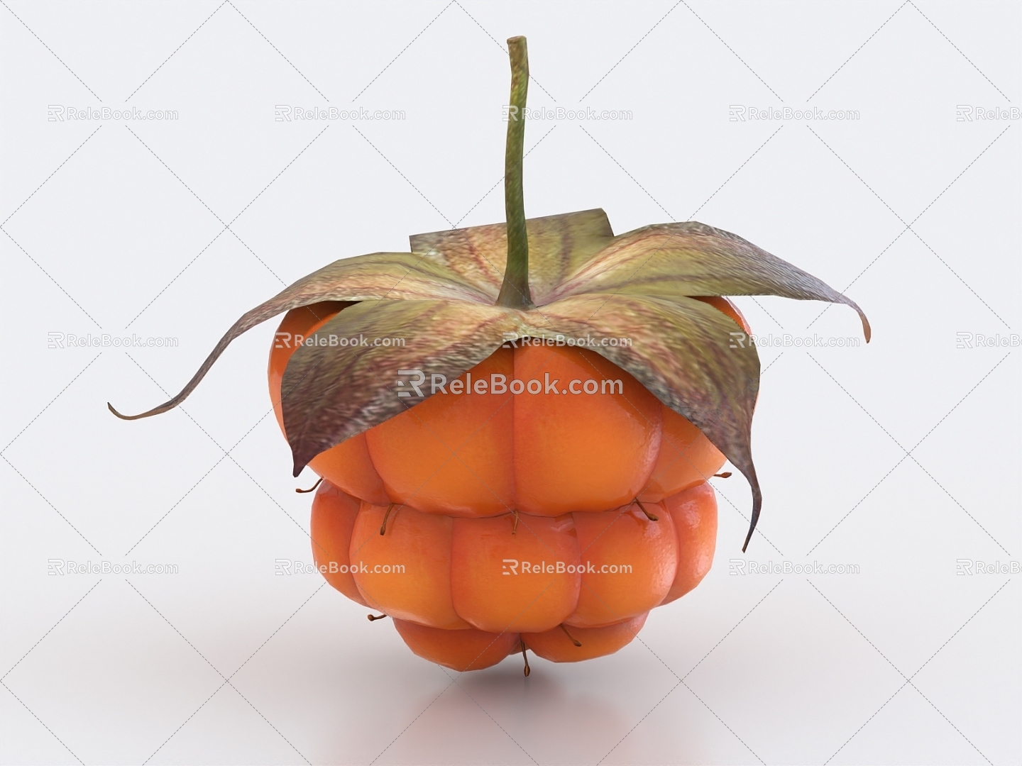 cloudberry wild yellow berry fruit 3d model