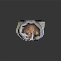 Modern cat kennel dog kennel pet kennel 3d model