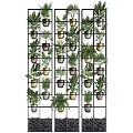 Stylish Indoor Plant Combinations With Green Foliage In Metal Planters On Grid Shelves
