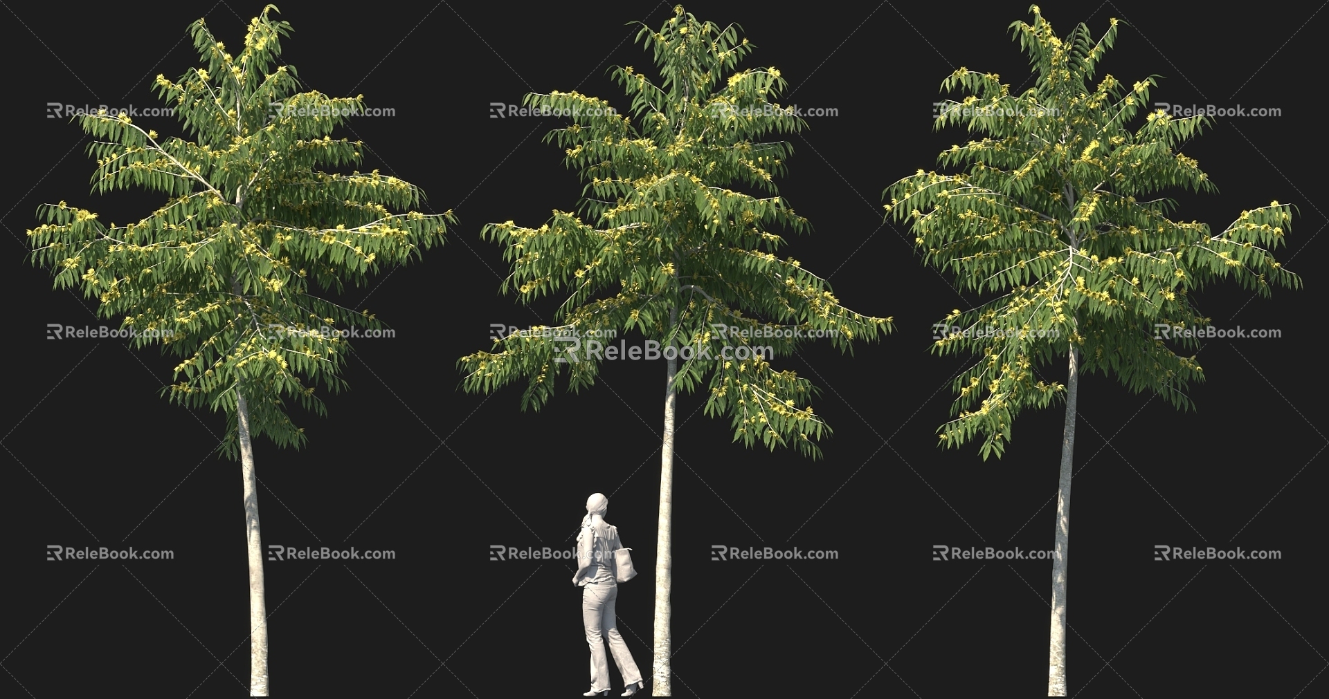 Garden Flower Tree Street Street Tree Pond Flower bed Landscape Tree High Pole Solitary Tree Planting 3d model