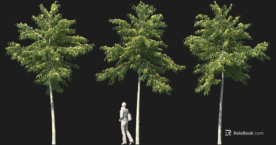 Arbor with Lush Green Leaves and Upright Trunks Featuring Human Figure for Scale 3d model 