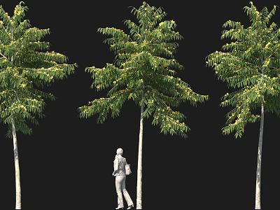 Arbor with Lush Green Leaves and Upright Trunks Featuring Human Figure for Scale 3d model
