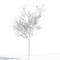 Leafless Tree With Straight Trunk Snow Covered Branches Against Blue Sky And White Clouds 3d model
