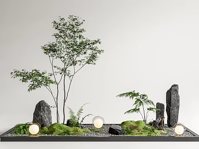 Indoor Landscape Design Featuring Small Trees Ferns Rocks Mossy Grass And Round Lights 3d model