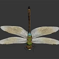 Green Dragonfly Flying With White Wings And Large Eyes Against Dark Background