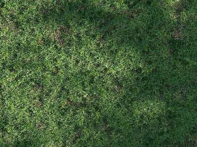 Lush Green Grass Lawn With Fresh Natural Texture For Outdoor Background 3d model