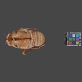 Detailed Vintage Beetle Specimen With Colorful Rubik's Cube On Gray Background