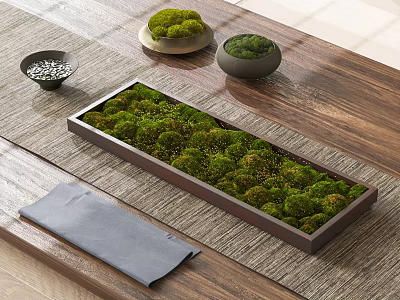 Clustered Green Moss in Rectangular Tray and Small Bowls on Wooden Table with Woven Mat 3d model
