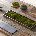 Clustered Green Moss in Rectangular Tray and Small Bowls on Wooden Table with Woven Mat