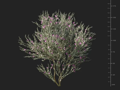 Lush Green Shrub with Purple Small Flowers and Dense Branches and Leaves 3d model