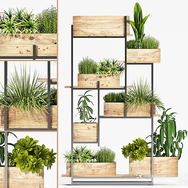 Stylish Indoor Bonsai Potted Plants Arranged On Multi Tiered Wooden Shelves 3d model 