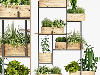 Stylish Indoor Bonsai Potted Plants Arranged On Multi Tiered Wooden Shelves 3d model
