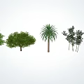 Modern tree modeling tree 3d model
