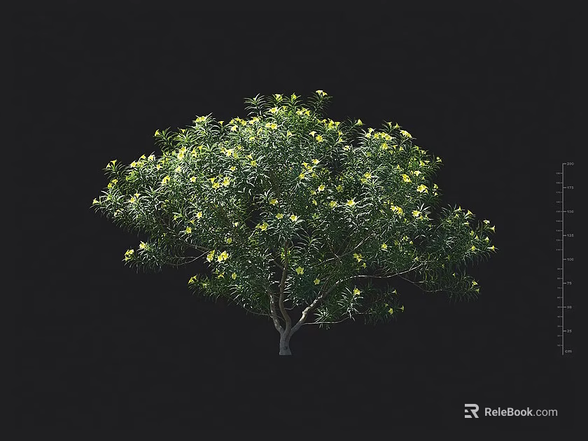 Lush Green Shrub With Yellow Flowers And Dense Foliage In Natural Setting 3d model 