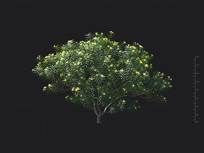 Lush Green Shrub With Yellow Flowers And Dense Foliage In Natural Setting 3d model