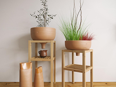 Modern Potted Plant model