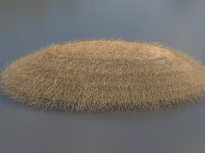 Light Brown Fuzzy Oval Shaped Grass Cluster On Gray Background Surface 3d model