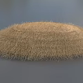Light Brown Fuzzy Oval Shaped Grass Cluster On Gray Background Surface 3d model