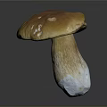 Fresh Edible Mushroom With Smooth Orange Brown Cap And Firm White Stem