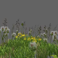 Vibrant Wildflowers With Dandelions Yellow Blooms And Green Grass In Natural Outdoor Setting