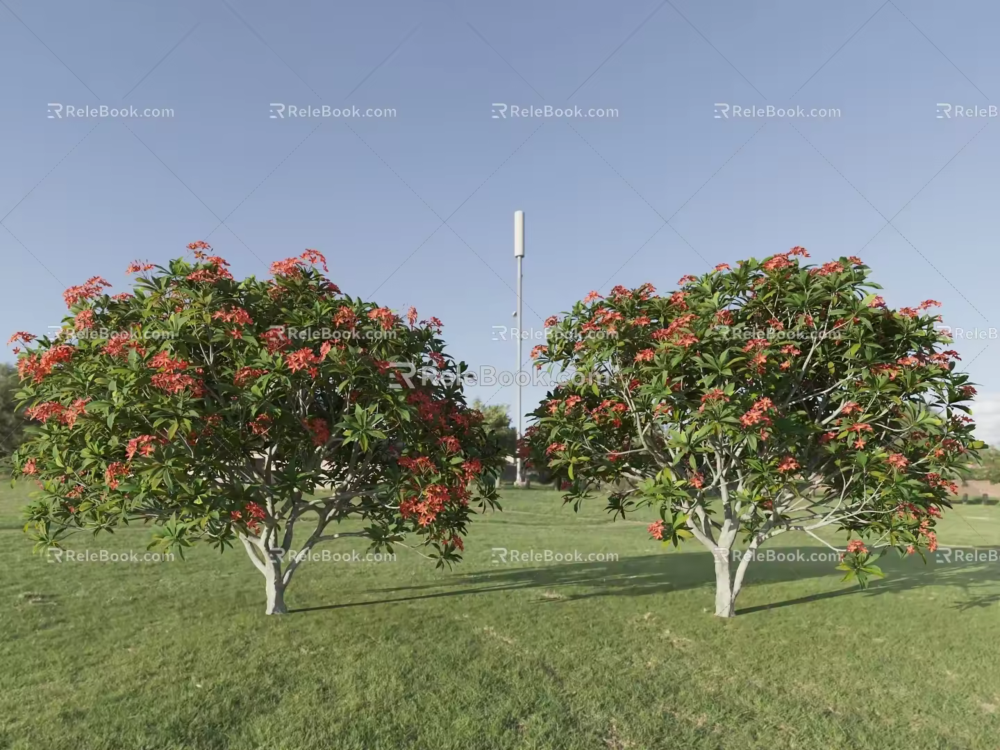 tree flowering tree landscape tree oleander peach tree flower tree 3d model