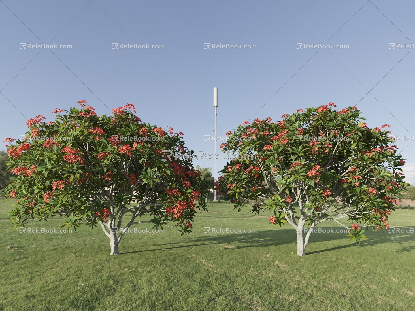 tree flowering tree landscape tree oleander peach tree flower tree model