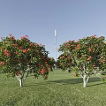tree flowering tree landscape tree oleander peach tree flower tree 3d model